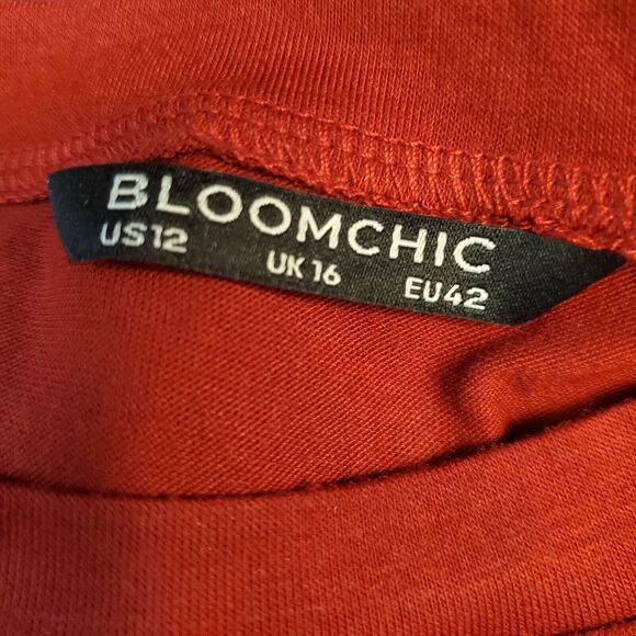 Bloomchic Blouse Women's Large12 Red Solid Long Mesh Sleeve w/ Fabric Dots - Picture 5 of 8